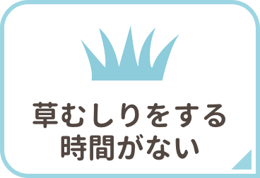 草むしりをする時間がない