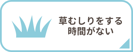 草むしりをする時間がない